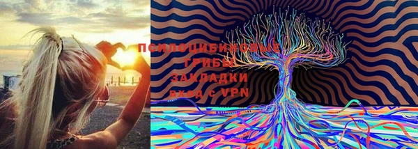 прущий лед Козельск