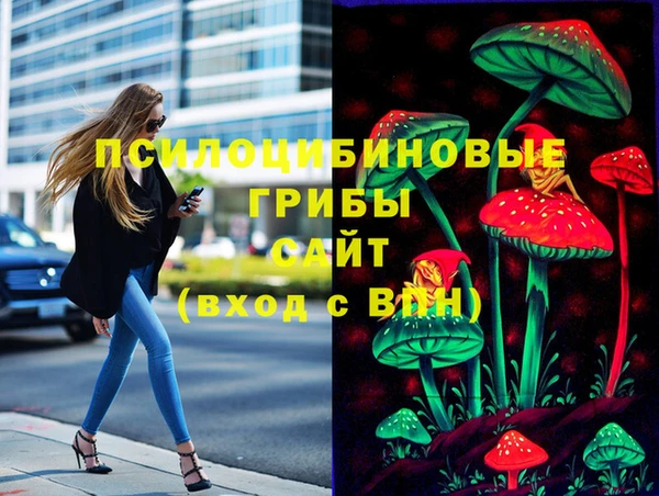 прущий лед Козельск