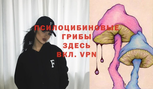 герыч Козловка